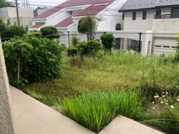 草刈り前